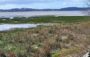 Programme Avril 2026