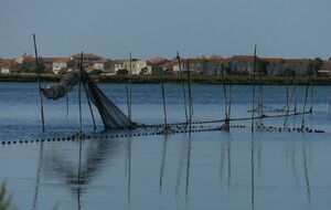 6a5cb37a5405a_Herault002.jpg