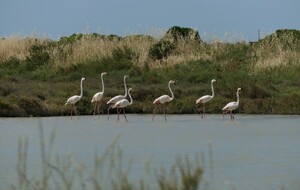 6a5cb37c13028_Herault004.jpg
