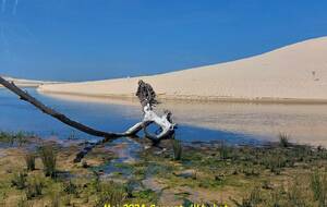 Journée  Randonnée Pique-Nique à Moliets-et-Maa