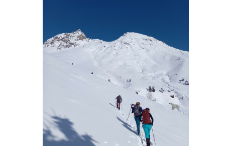 Programme Février 2026