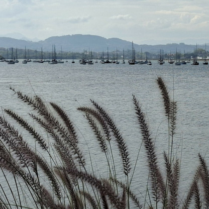 Octobre 2026 - De St Jean de Luz à Béhobie