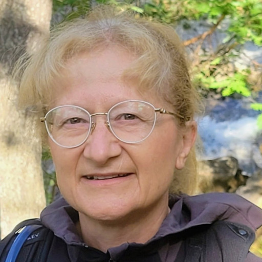 Viviane Boulesteix