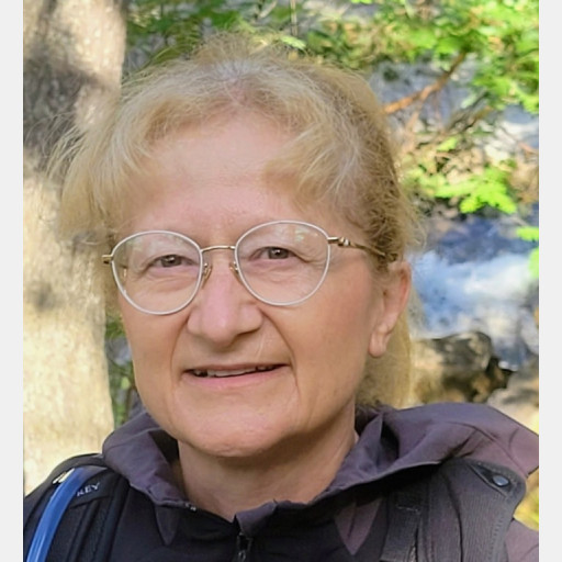 Viviane Boulesteix